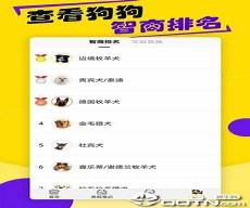狗语交流器