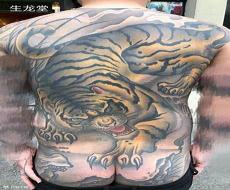 前胸老虎纹身