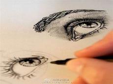 眼睛结构画